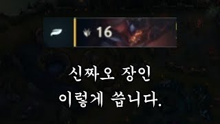 신짜오 강의