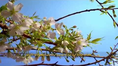 القارئ حسام رشيد.. بيات مدهش منعش