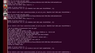 Performing rolling software upgrade in OpenStack IaaS - POC