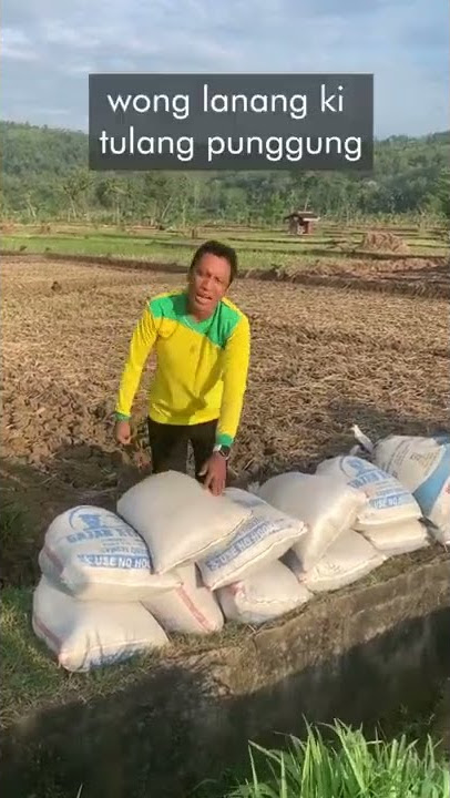 story wa wong Lanang tulang punggung