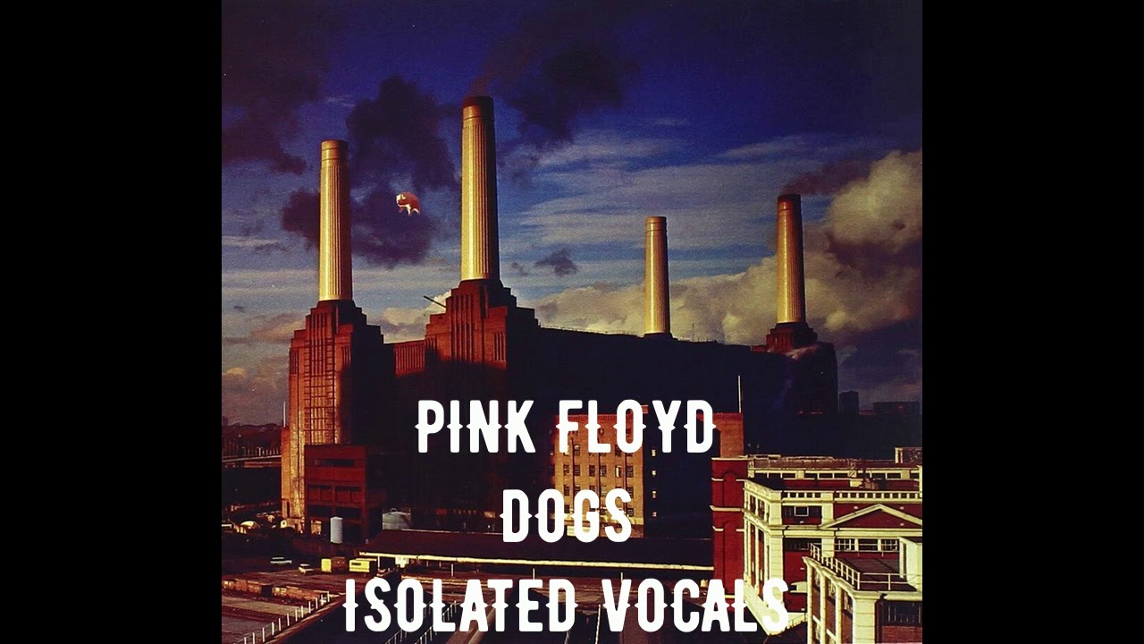 pink floyd dogs