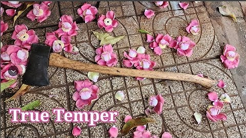 ĐÃ BÁN - Rìu True Temper, Mỹ #minhtq #0909095698 #hàngnhậtbãi