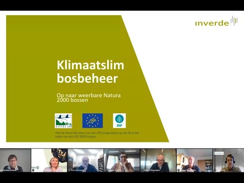 Klimaatslim bosbeheer: op naar weerbare Natura 2000-bossen