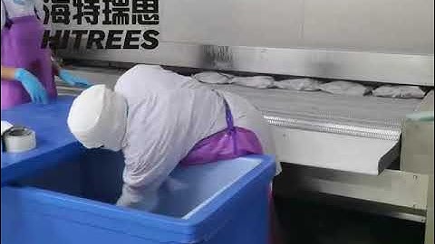 Revolutionize Your Freezing Process with HITREES Flash Freezers