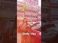 Ex Settled in New Zealand? 😂 Study in New Zealand 2026 | PR &amp; Career Options for Indian Students