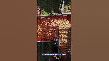 Apron Chains That Keep Agriculture Moving! #chain #agriculture #worldofagri #farming