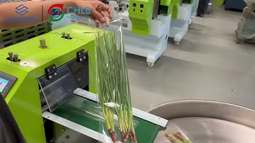 Green onion 、Shallots、Leek、Chive、Ramps、gingerroot、ginger flow packing machine-SAMSONPAC