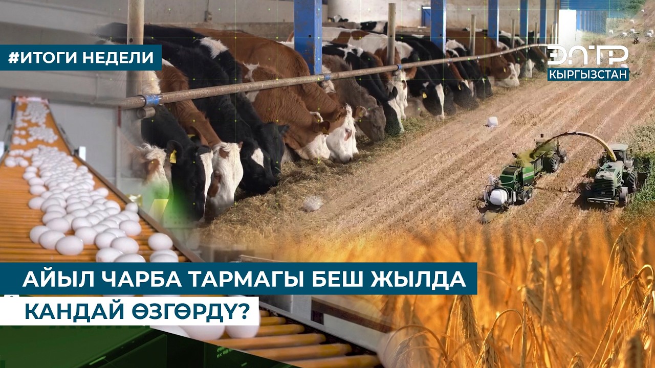 АЙЫЛ ЧАРБА ТАРМАГЫ БЕШ ЖЫЛДА КАНДАЙ ӨЗГӨРДҮ?