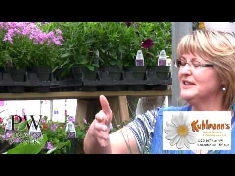 Proven Winners 2012 Video 3 - Mike Plants his Winning Garden