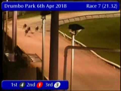 IGB - greyhound-data.com  06/04/2018 Race 7 - Drumbo Park