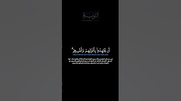 سورة التوبة الآية 44 - 45 خالد الجهيم #قرآن #quran #guidance #لايك #حالات_واتس #ترند #راحة_نفسية