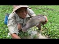 New fishing 2020 - Find &amp; Catch a lot of catfish in mud rainy season 2020
