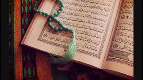 تلاوة سورة الحشر قراءة خاشعه