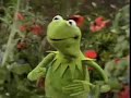 Muppets - Kermit - Its not easy being green (original)