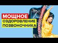 Мощное оздоровление позвоночника #Shorts