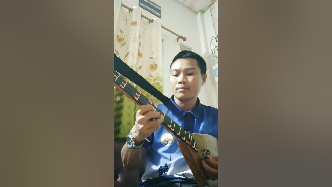 ดีดพิณ!! ลายนกไซบินข้ามทุ่ง