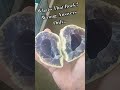 What Is This Rock? Wrong Answers Only... #crystals #gems #nature #rocks #minerals