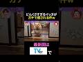 このイッヌ飼いたい #月曜から夜ふかし #癒し #犬 #かわいい #面白い #神回 #まとめ #shorts