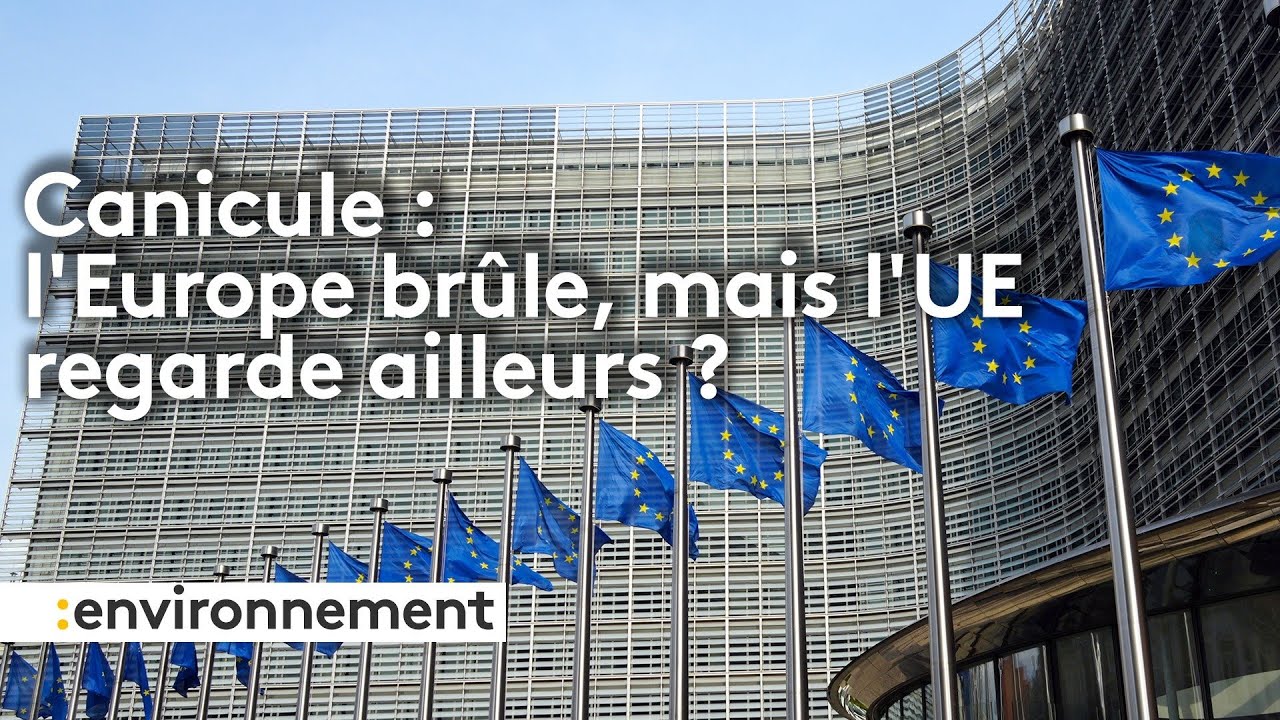 Le focus international de François Beaudonnet