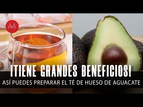 Hueso de aguacate: