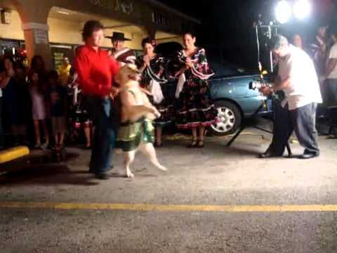 Salsa Dancing Dog.mp4 - YouTube