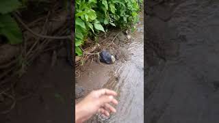 Pemandangan Di Daerah Bagawat Kecamatan Selajambe Kabupaten Kuningan