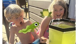 From Tadpoles to Frogs: Watching Metamorphosis in Real Life!