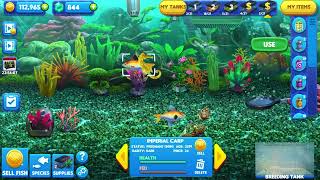 Breeding the Magic Fish of Maturity - Fish Tycoon 2 screenshot 1