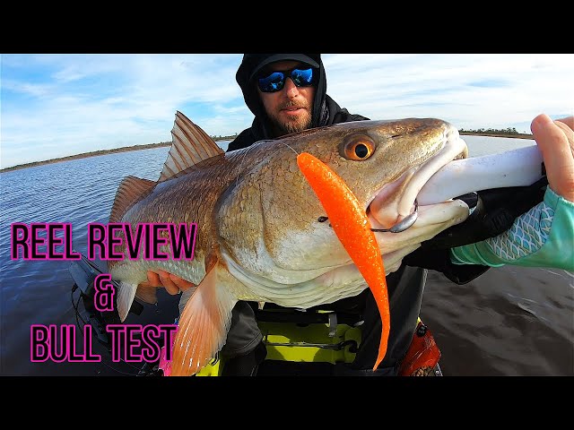 Reel Talk - Daiwa Certate 2500 LT VS. Bull Redfish - One Of The Best? -  Review & Specs 