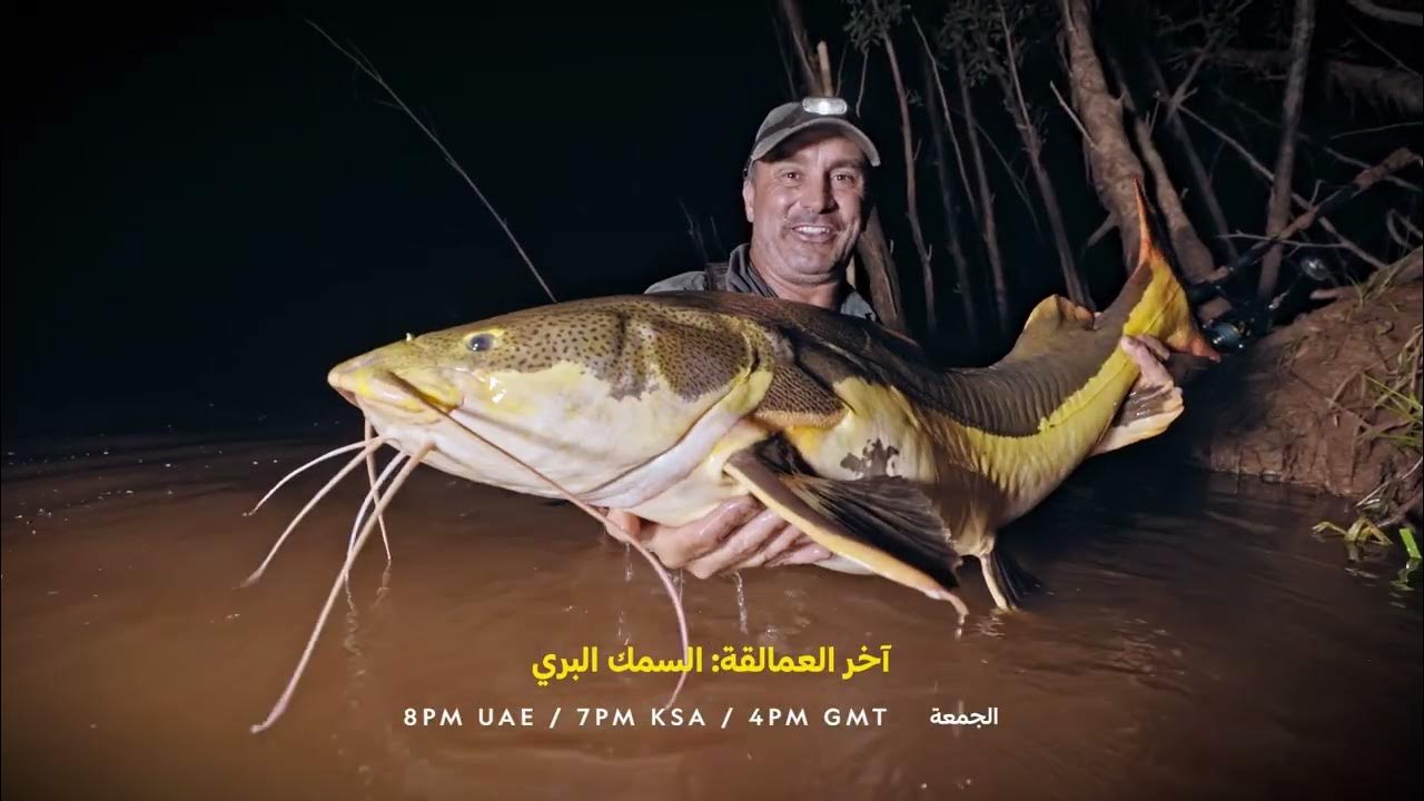   |  :   |   
 - 10:51-2025 / 8 / 9