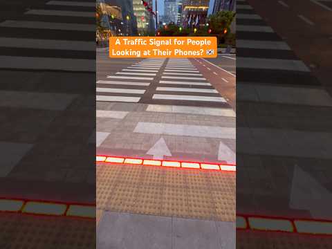 Have You Ever Seen a Pedestrian Signal Like This? 🇰🇷 #travel #funfacts