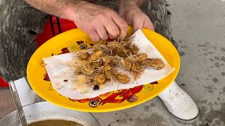 Fried spiders????