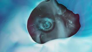 Dark Time Sunshine - Familiars Official Music Video