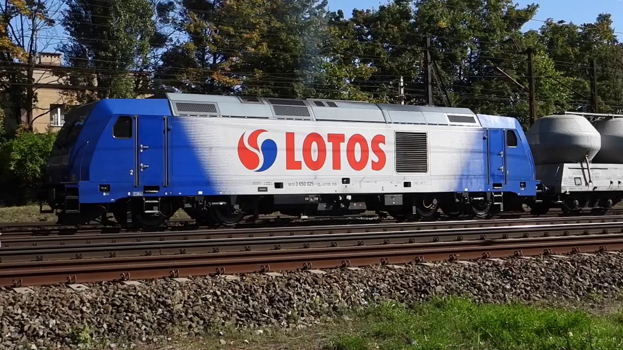 Pudernice w Orłowie Gdynia 2019