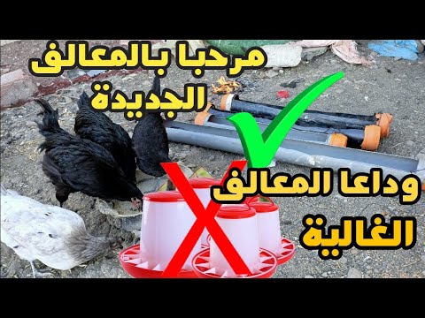 طريقة صناعة اسهل و افضل معالف لدجاج البياض