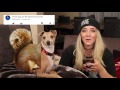 Reading mean comments about my dogs