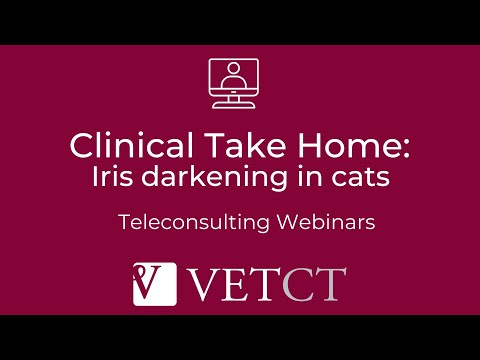 Twelve-minute take homes: Iris darkening in cats - benign melanosis or malignant melanoma?