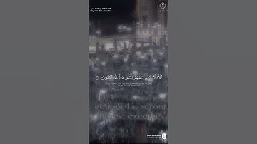 تلاوة ندية للشيخ : عبدالمحسن القاسم من سورة الزخرف في المسجد النبوي #تلاوات #عبدالمحسن_القاسم