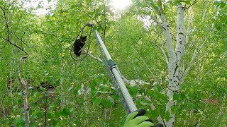 видео: Чернышка картинка: Чернышка