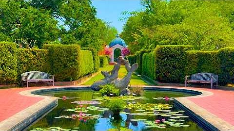 Beautiful Garden Tour of Flowers at New Orleans Botanical Garden | Peaceful Piano Music for Relaxing