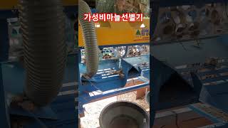 저렴한마늘선별기