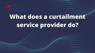 What does a curtailment service provider (CSP) do