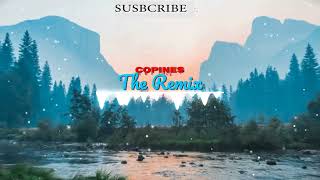 Copines  Aya Nakamura  Bass Boosted  The Remix