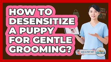 How to desensitize a puppy for gentle grooming?