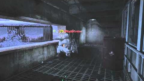 Sebax55 - MW3 Double kill (Headshot and Barrel)