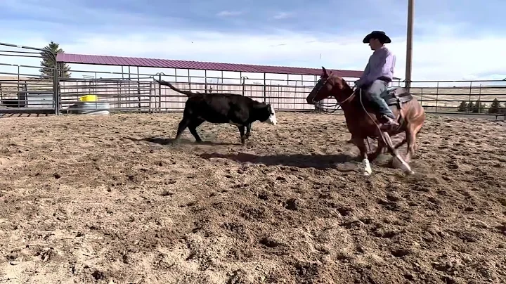 Penelope  Wolfe Cowhorses