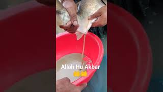 Download Lagu La Ilaha Illallah Allah Hu Akbar  🤲🤲#viralshort #shorts #short #vct #reels #youtube #religion MP3