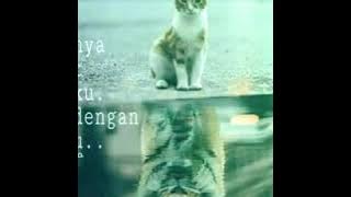 Story wa(bulan dan ksatria)