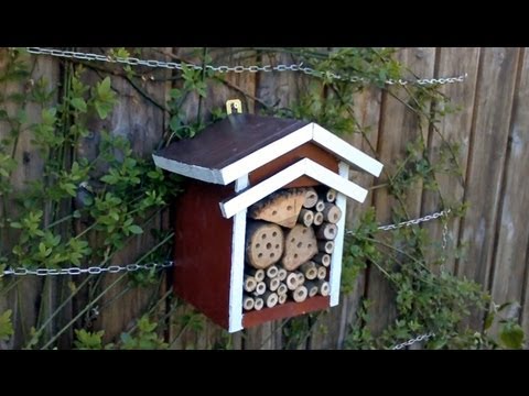 making a Bee Hotel - woodworking