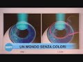 Sommario 20 puntata 2015-16 Sommario 20 puntata 2015-16